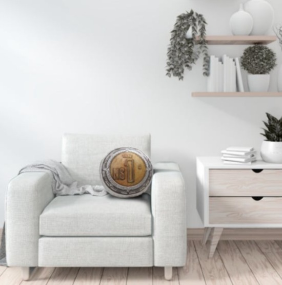 cojin moneda dinero tierra amores